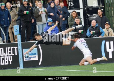 Newcastle, Regno Unito. 21st Apr, 2023. Adam Radwan di Newcastle Falcons decollerà per segnare durante la partita della Gallagher Premiership tra Newcastle Falcons e Northampton Saints a Kingston Park, Newcastle venerdì 21st aprile 2023. (Foto: Chris Lishman | NOTIZIE MI) Credit: NOTIZIE MI & Sport /Alamy Live News Foto Stock