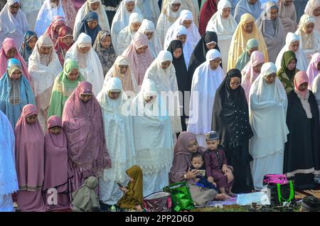 Soppeng, Indonesia. 21st Apr, 2023. La congregazione di Muhammadiyah ha condotto la preghiera di Eid al-Fitr 1444 Hijri sul campo, mentre il Ministero indonesiano della religione ha deciso, attraverso la riunione dell'isbat, che la preghiera di Eid al-Fitr si terrà il 22 aprile. (Foto di Moch Farabi Wardana/Pacific Press) Credit: Pacific Press Media Production Corp./Alamy Live News Foto Stock