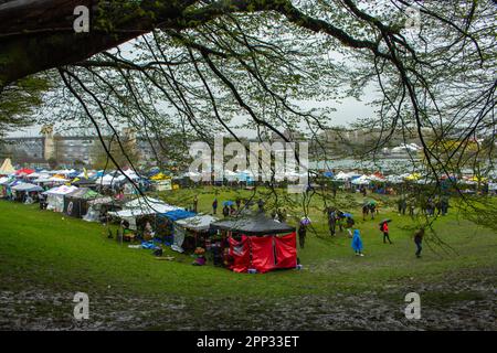 Scena del Festival della Cannabis di Vancouver del 420 al Sunset Beach Park. 420 (quattro-venti) è lo slang della cultura della cannabis che celebra la marijuana e la cultura del piatto Foto Stock