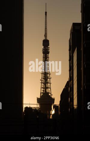 Torre di Tokyo vista al tramonto da Hamamatsucho, Tokyo, Giappone. Foto Stock