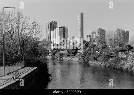 Il canale Prescott a Three Mills Park, Bromley-by-Bow, East London UK, guardando verso nord verso Stratford Foto Stock