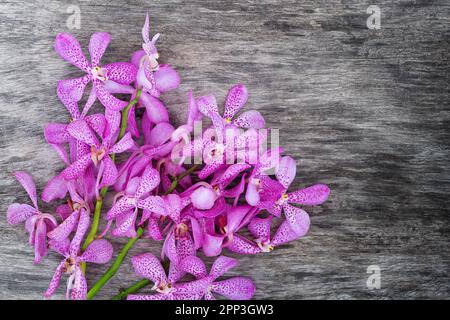 Orchidea viola sulla superficie di legno grigio Foto Stock