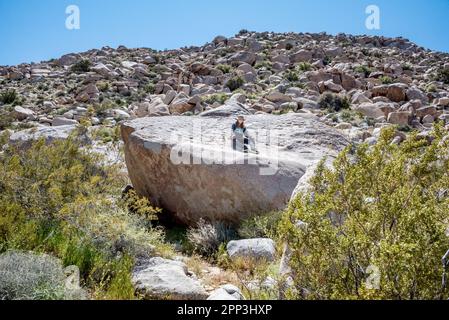 Un bambino giovane siede su un grande masso lungo il sentiero Ehmuu Morteros nella Blair Valley, una riserva culturale nel Parco statale del deserto di Anza Borrego. Foto Stock