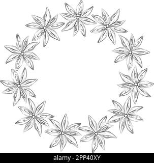 Struttura circolare astratta di disegno a mano anice stella con copyspace. Art. Linea Disegno di contorno. Isolare. Erbe e spezie giorno. Design per l'imballaggio, la carta da parati, i biglietti o l'etichetta, il banner o il Web. EPS Illustrazione Vettoriale