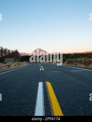 Strada verso il Monte Ngauruhoe. Parco Nazionale di Tongariro. Isola del nord. Formato verticale. Foto Stock