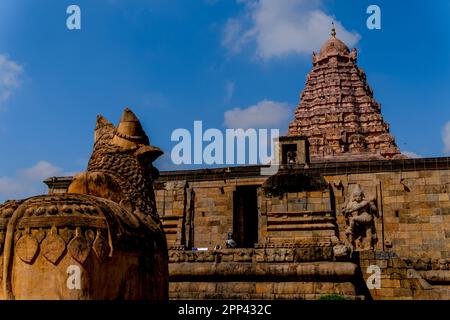 In GangaiKondaCholapuram, uno storico tempio indiano sud, Nandhi è posizionato di fronte al tempio Shiva gopuram. Lo Shiva Vahana, un Dio gigantesco del toro Foto Stock