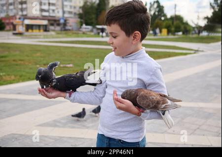 Bel ragazzo pre-teen felice, bambino caucasico di 10 anni, tenendo in mano le colombe di roccia e alimentandoli con i semi di uccello nella piazza del parco. Ama un Foto Stock