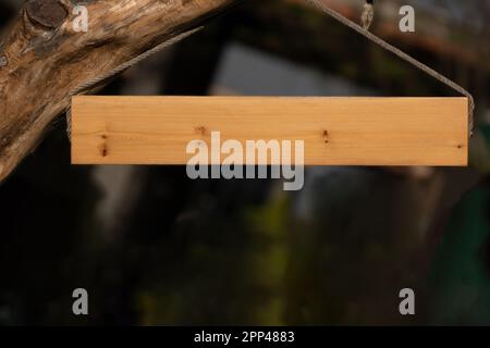 Cartello di legno vuoto appeso ad un albero Foto Stock