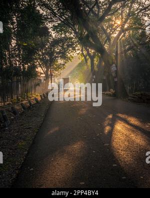 Catturare momenti di pura gioia e felicità nel villaggio Foto Stock