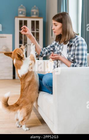 Divano donna che dà il suo cane trattare Foto Stock