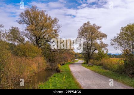 Strada di campagna nella torbiera Murnauer Moos in Baviera Germania Foto Stock