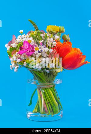 Primo piano di una disposizione di fiori di primavera in un vaso di vetro Foto Stock