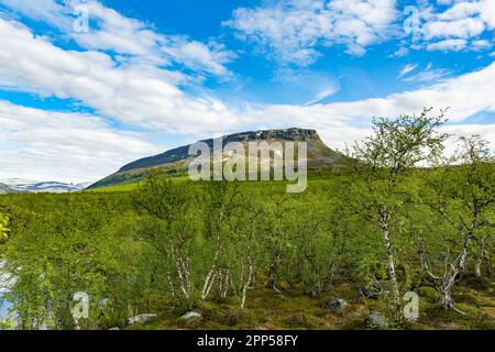 L'iconica Saana cadde in Lapponia, Finlandia Foto Stock