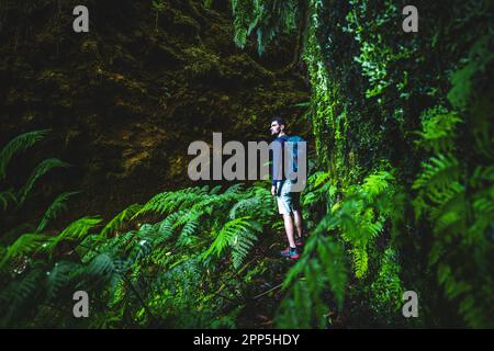 Descrizione: Atlhletic turista uomo a piedi su una gola coperta di felce con vecchio ponte da qualche parte nella foresta pluviale di Madeiran al mattino. Levada di Caldeirã Foto Stock