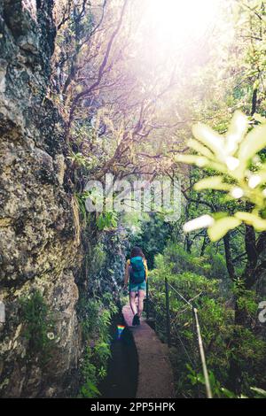 Descrizione: Backpacker donna a piedi lungo percorso escursionistico giungla troppo cresciuto vicino al canale attraverso la foresta pluviale di Madeiran. Levada di Caldeirão Verde, Madei Foto Stock