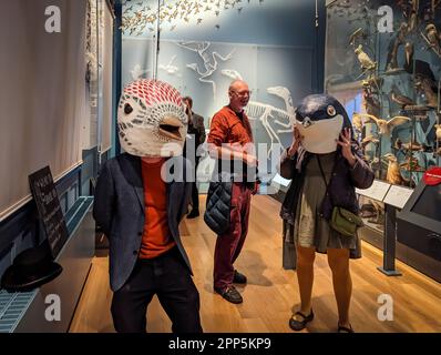 Exeter, Regno Unito. 21st Apr, 2023. Dopo l'orario d'apertura, intrattenimento notturno d'arte al Royal Albert Memorial Museum e alla Art Gallery di Exeter. Credit: Thomas Faull/Alamy Live News Foto Stock