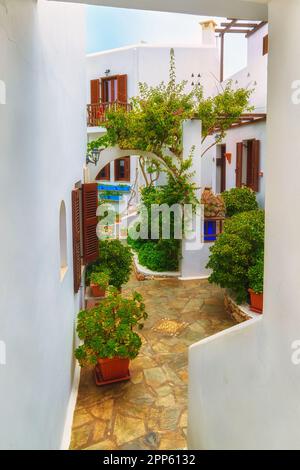 Bellissimo patio in stile greco tradizionale, pareti imbiancate e lussureggiante vegetazione in pentole. Foto Stock