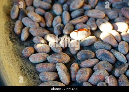 I fagioli di cacao vengono tostati su un piatto tradizionale di argilla comica in Guatemala Foto Stock