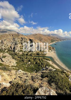 Preveli spiaggia di Mar Libico, il fiume e la foresta di palme, Creta meridionale , Grecia Foto Stock