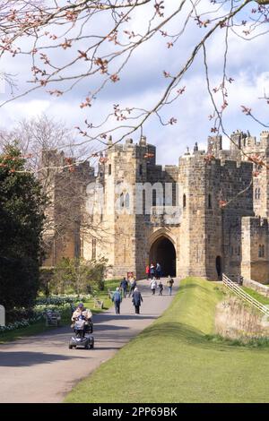 Alnwick Castello Northumberland; Un grande castello medievale del 12th ° secolo. Visitatori nei giardini del castello in una giornata di sole primaverili; Alnwick Northumberland Regno Unito Foto Stock