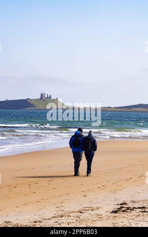 Coppia a piedi sulla spiaggia UK; due persone a piedi su Embleton Beach verso Dunstanburgh Castle, Northumberland Coast, Northumberland UK Foto Stock