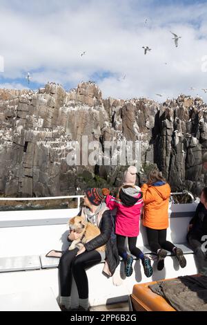 Una famiglia con bambini in una gita in barca per birdwatching alle Isole Farne Northumberland Regno Unito; vacanza in famiglia Regno Unito Foto Stock