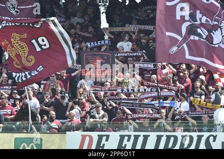 Salerno, Italia. 22nd Apr, 2023. US Salernitana tifosi durante la Serie A match between &#XA;US Salernitana 1919 vs US Sassuolo Calcio allo Stadio Arechi Credit: Live Media Publishing Group/Alamy Live News Foto Stock