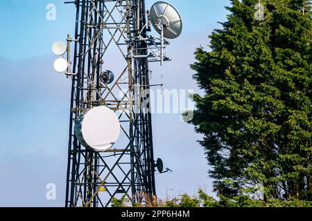 Albero di comunicazione situato nel South Downs National Park a nord di Worthing, West Sussex, Regno Unito. Foto Stock