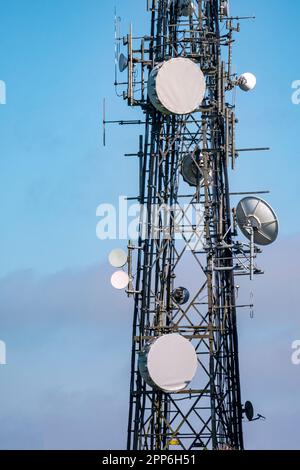 Albero di comunicazione situato nel South Downs National Park a nord di Worthing, West Sussex, Regno Unito. Foto Stock