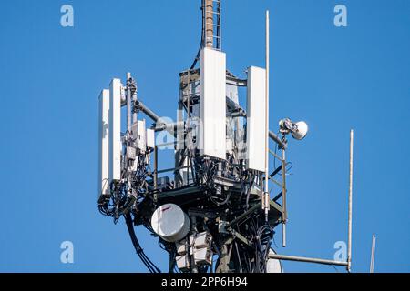 Albero di comunicazione situato nel South Downs National Park a nord di Worthing, West Sussex, Regno Unito. Foto Stock