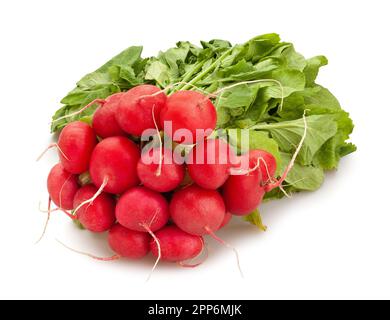 percorso radish isolato su bianco Foto Stock