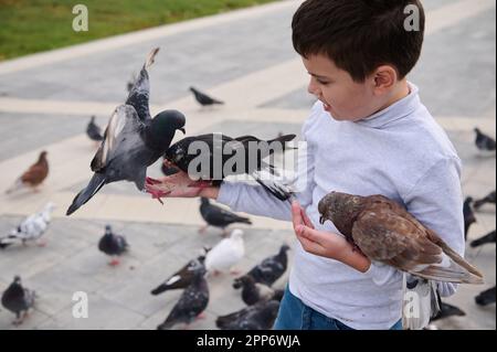 Primo piano bambino caucasico di 10 anni, ragazzo della scuola che alimenta piccioni di roccia con semi di uccello nella piazza del parco. Foto Stock