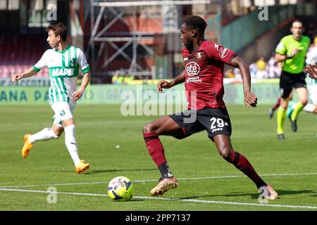 Stadio Arechi, Salerno, Italia. 22nd Apr, 2023. Serie A Football; Salernitana contro Sassuolo; Boulaye dia di Salernitana Credit: Action Plus Sports/Alamy Live News Foto Stock