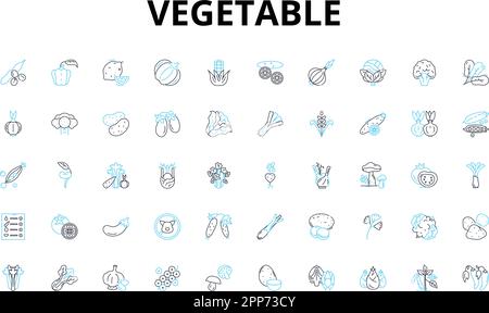 Set di icone lineari vegetali. Carota, broccoli, cavolfiore, spinaci, barbabietole, Simboli vettoriali ONION, Cucumber e segni di concetto di linea. Fungo, campana Illustrazione Vettoriale