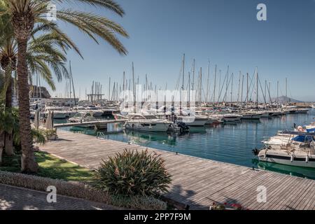 Real Club Náutico de Calp nel viale del porto della città di Calpe, provincia di Alicante, Comunità Valenciana, Spagna, Europa Foto Stock