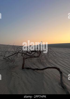 Inland Sea, Qatar - 10 novembre 2023: Bellissimo tramonto del mare interno. Deserto di Doha Foto Stock