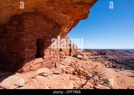 La Cittadella, una rovina di Anasazi abbandonata e ricostruita a Cedar Mesa, vicino a Blanding, Utah, USA. Foto Stock