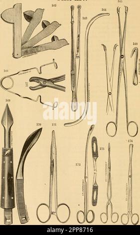 "Registro alfabetico illustrato degli strumenti veterinari, dei modelli anatomici, dei libri, &c." (1881) Foto Stock