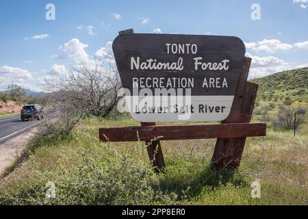 Cartello in legno sulla Bush Highway lungo il Lower Salt River, area ricreativa nella Tonto National Forest, vicino a Phoenix o Mesa, Arizona, USA Foto Stock
