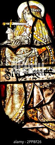 Vetrate medievali, St. Agnes, Santa, con il pugnale al collo, tenendo un agnello, Sandringham Parish Church, Norfolk, Inghilterra, REGNO UNITO Foto Stock