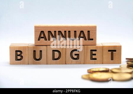 Il testo annuale del budget è inciso su blocchi di legno su una copertina di sfondo bianco. Concetto di business e budget Foto Stock