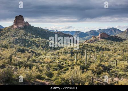 Vista panoramica del paesaggio lungo lo storico Apache Trail fino a Tortilla Flat, Tonto National Forest, Apache Junction, Mesa, Arizona, STATI UNITI Foto Stock