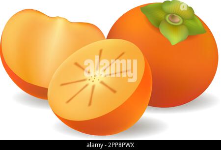 Persimmons interi e mezzo Illustrazione Vettoriale