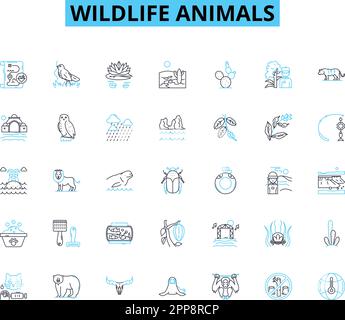 Animali selvatici icone lineari set. Elefante, giraffa, leone, tigre, pantera, Scimpanzé, vettore di linea Gorilla e segnali concettuali. Zebra, coccodrillo, serpente Illustrazione Vettoriale