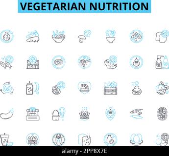 set di icone lineari nutrizionali vegetariane. Vegetali, proteina, fibra, ferro, calcio, Vitamina B, vettore di linea Omega e segni di concetto. Soia, legumi, noci Illustrazione Vettoriale