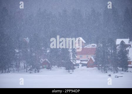 Case nella foresta di abeti sotto la neve pesante sulla riva del lago Teletskoe. Iogach, su Altai. Foto Stock