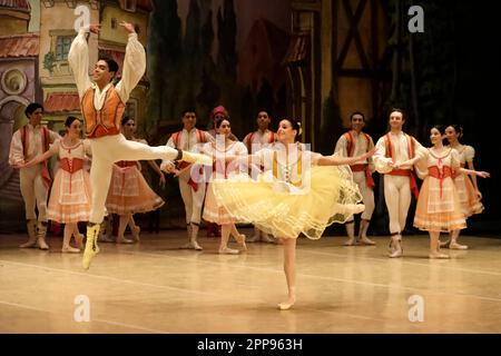 Città del Messico, Messico. 20th Apr, 2023. La National Dance Company del Messico presenta la classica Coppelia, al Palazzo delle Belle Arti di Città del Messico. Il 20 aprile 2023 a Città del Messico, Messico (Credit Image: © Luis Barron/eyepix via ZUMA Press Wire) SOLO PER USO EDITORIALE! Non per USO commerciale! Foto Stock