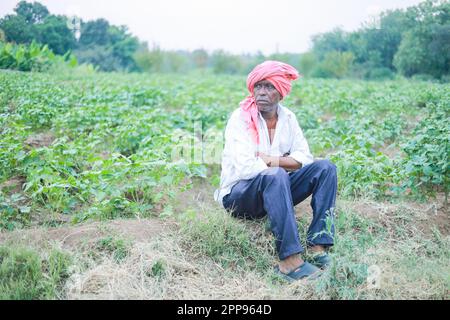 Cowpea semi che coltivano, coltivatore indiano felice, coltivatore povero Foto Stock