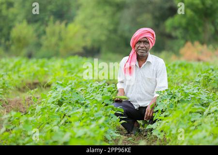 Cowpea semi che coltivano, coltivatore indiano felice, coltivatore povero Foto Stock