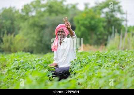 Cowpea semi che coltivano, coltivatore indiano felice, coltivatore povero Foto Stock